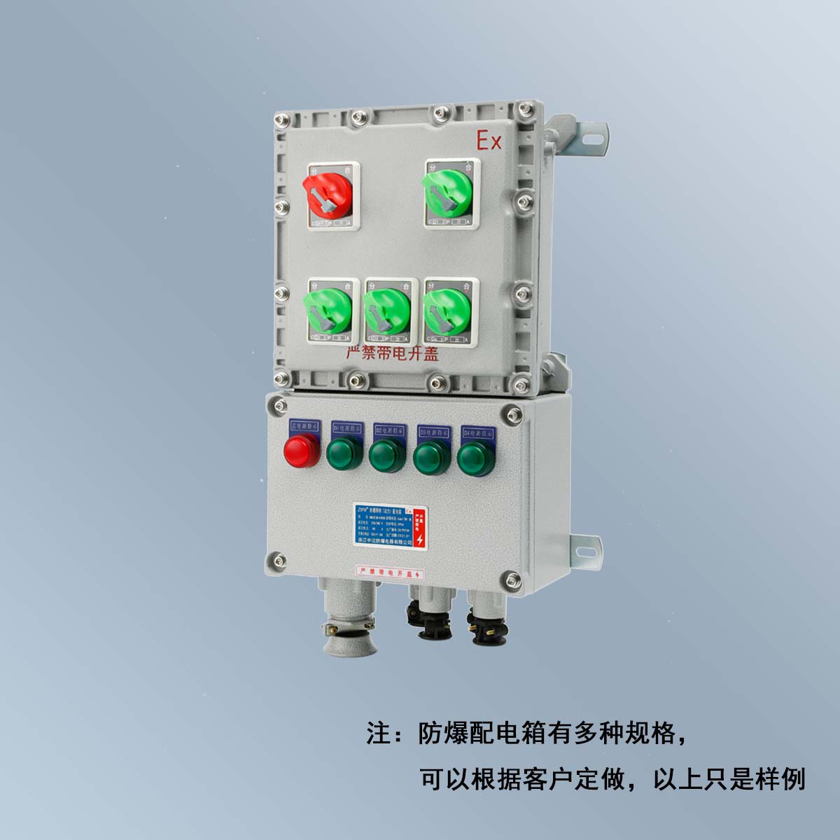 BXM(D)58 系列防爆照明(動(dòng)力)配電箱 (ⅡB、ⅡC、DIP)